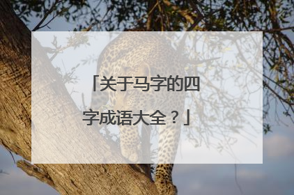 关于马字的四字成语大全？