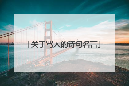 关于骂人的诗句名言