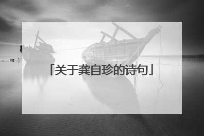 关于龚自珍的诗句