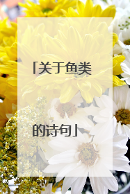 关于鱼类的诗句