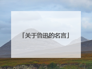 关于鲁迅的名言