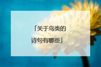 关于鸟类的诗句有哪些