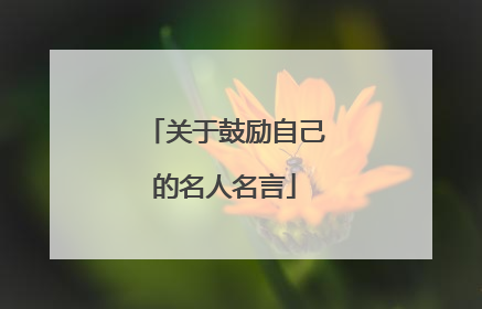 关于鼓励自己的名人名言