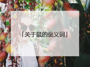 关于鼠的褒义词