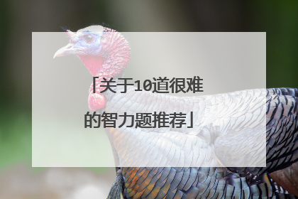 关于10道很难的智力题推荐