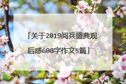 关于2019阅兵盛典观后感600字作文5篇