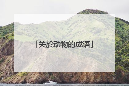 关於动物的成语
