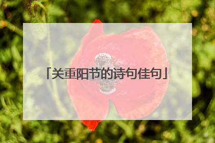 关重阳节的诗句佳句