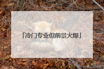 冷门专业但前景火爆