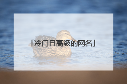冷门且高级的网名