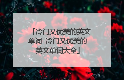冷门又优美的英文单词 冷门又优美的英文单词大全
