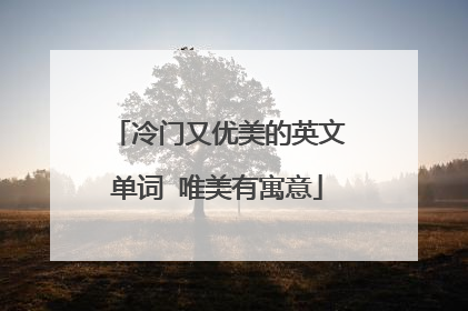 冷门又优美的英文单词 唯美有寓意