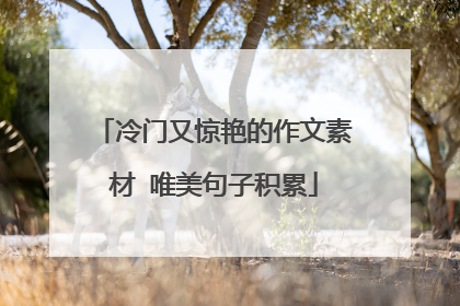 冷门又惊艳的作文素材 唯美句子积累