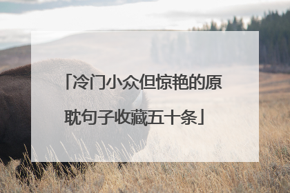 冷门小众但惊艳的原耽句子收藏五十条