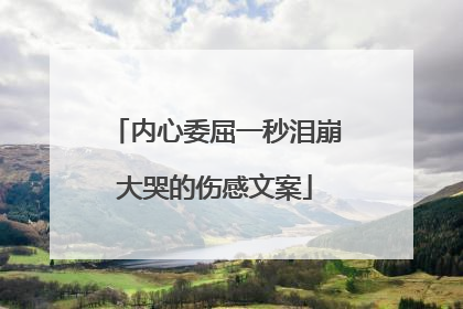 内心委屈一秒泪崩大哭的伤感文案