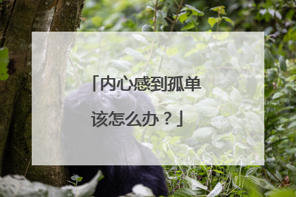 内心感到孤单该怎么办？