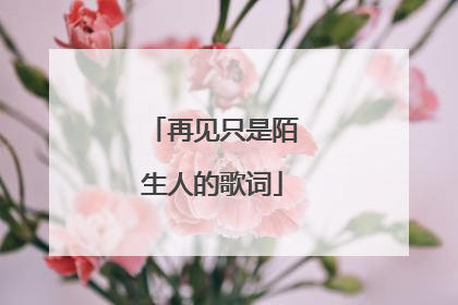 再见只是陌生人的歌词