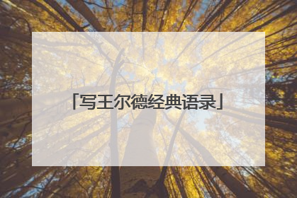 写王尔德经典语录
