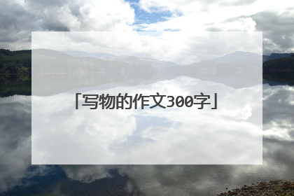 写物的作文300字