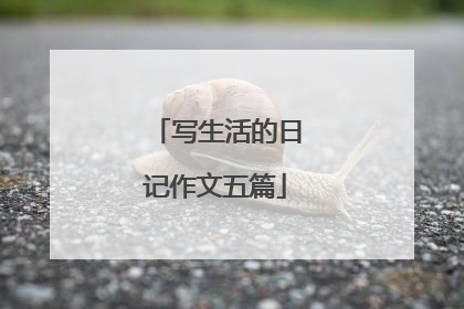 写生活的日记作文五篇