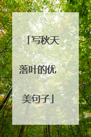写秋天落叶的优美句子