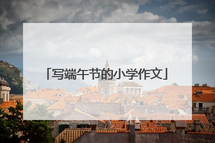 写端午节的小学作文