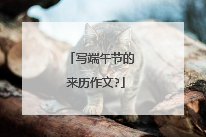 写端午节的来历作文?