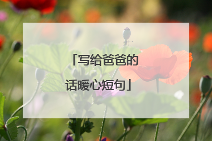 写给爸爸的话暖心短句