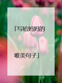 写给妈妈的唯美句子