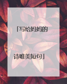 写给妈妈的诗唯美短句
