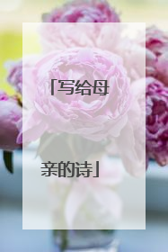 写给母亲的诗