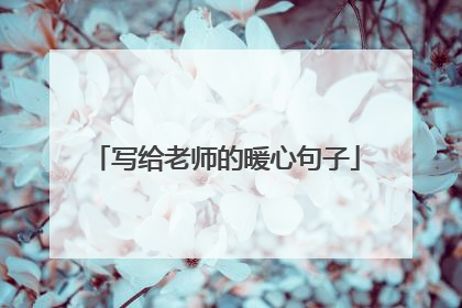写给老师的暖心句子