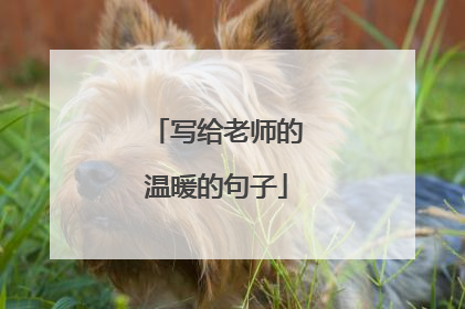 写给老师的温暖的句子