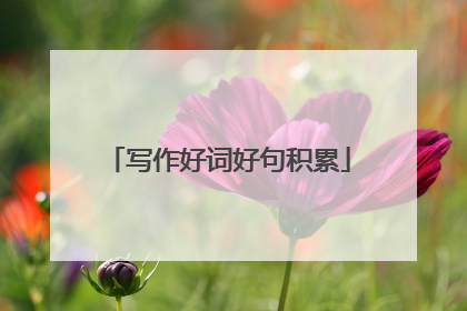 写作好词好句积累