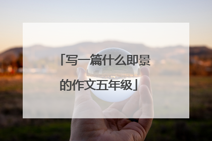 写一篇什么即景的作文五年级