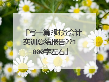 写一篇?财务会计实训总结报告??1000字左右