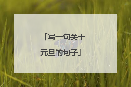写一句关于元旦的句子