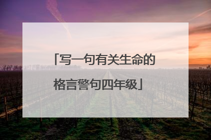 写一句有关生命的格言警句四年级