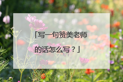 写一句赞美老师的话怎么写？
