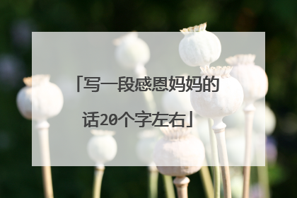 写一段感恩妈妈的话20个字左右