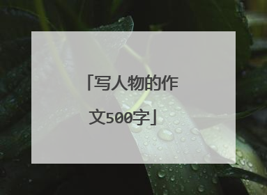 写人物的作文500字