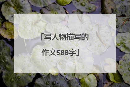 写人物描写的作文500字