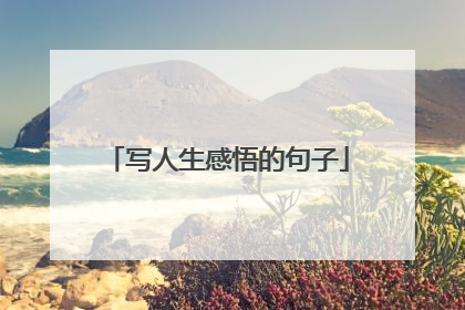 写人生感悟的句子