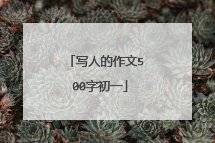 写人的作文500字初一