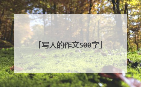 写人的作文500字