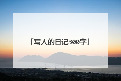 写人的日记300字