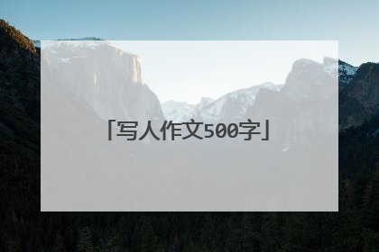 写人作文500字