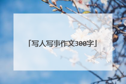 写人写事作文300字