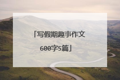 写假期趣事作文600字5篇