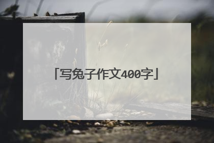 写兔子作文400字